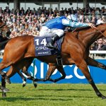 Newmarket Racecourse Becomes The Latest Premium Brand to Join The Luxury Network UK